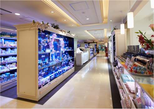 大賀薬局店内写真