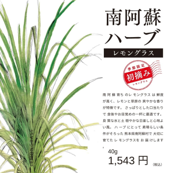 初摘みレモングラスLINE