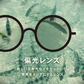 1040x1040_偏光レンズ (1)